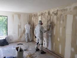 Best Basement Mold Removal  in Maria Stein, OH